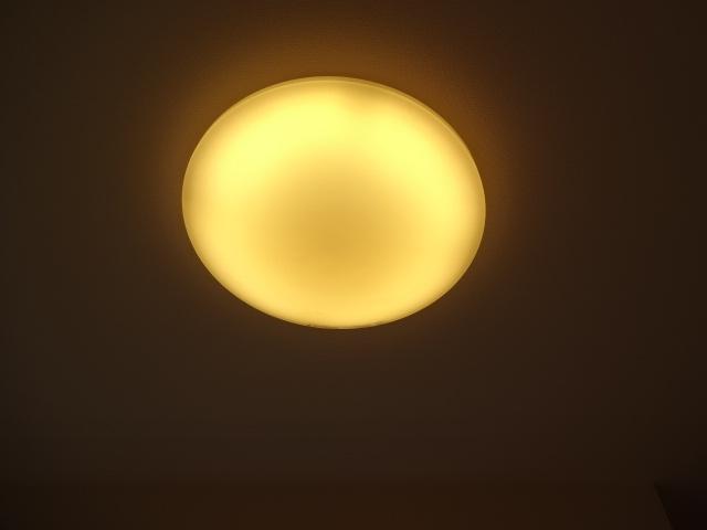 グランドゥマール水引 その他14