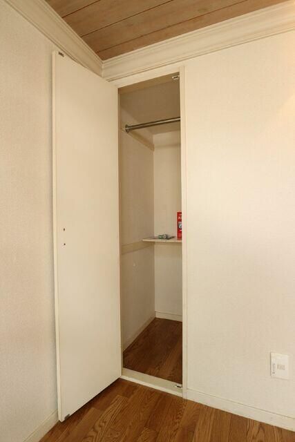 Ａｐａ花の木 その他3