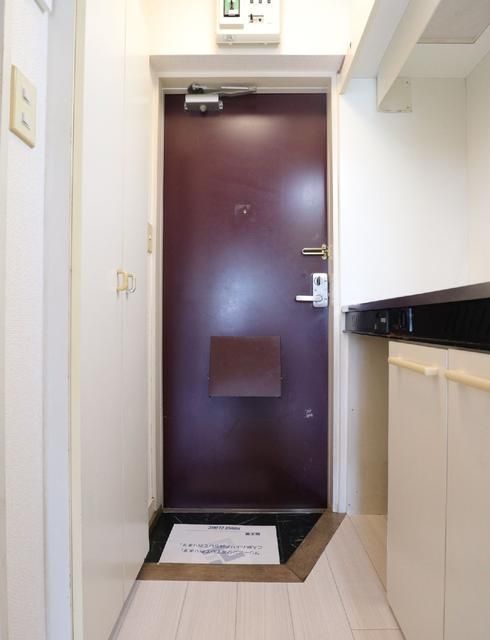 Ａｐａ花の木 その他12