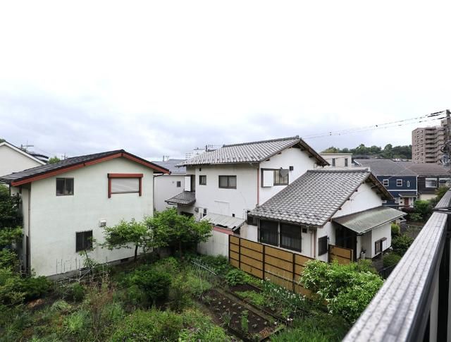 Ａｐａ花の木 その他14