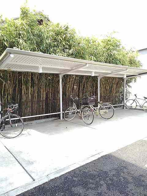 デスパシオ その他6