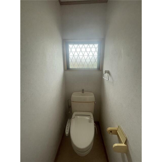 エクセレント・クレオ その他1