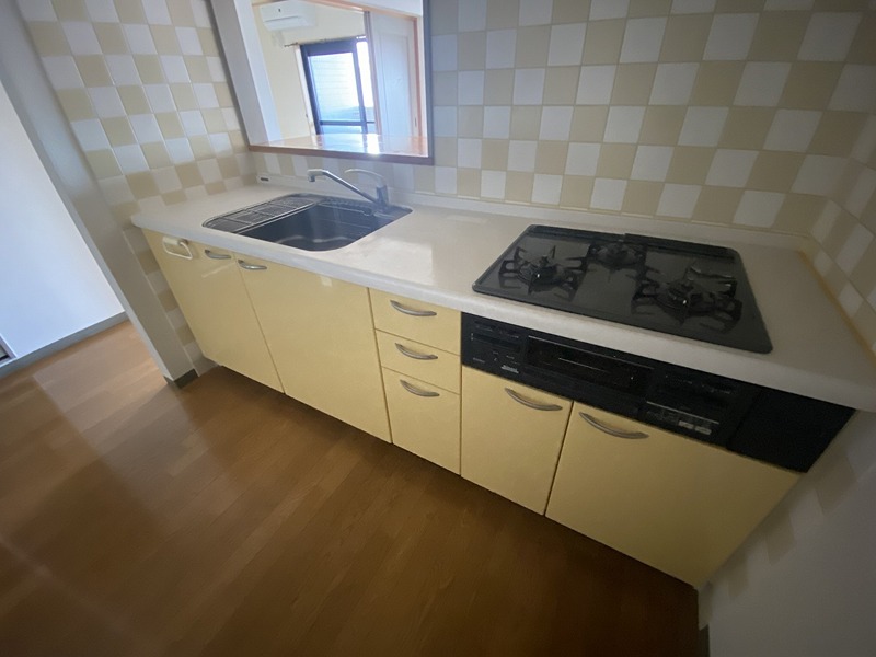 フィールド・サン その他20