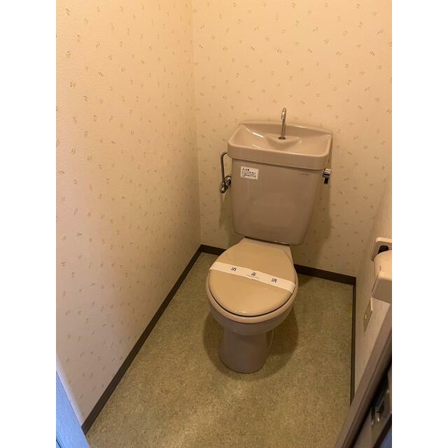 フィールド・サン その他1