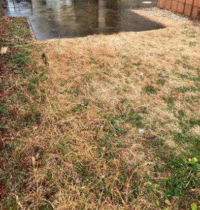 渋沢戸建 その他8