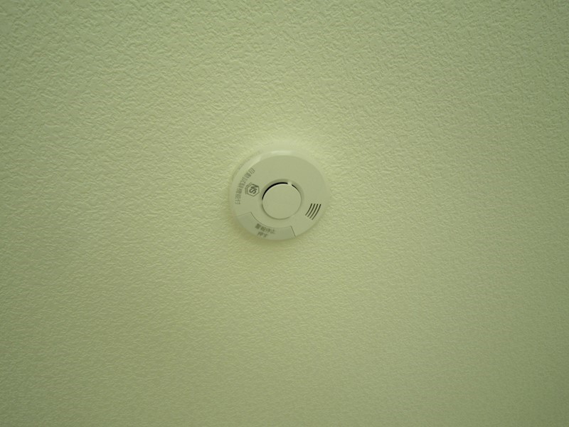 パストラルピア その他22