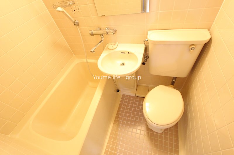 ライオンズマンション平塚宝町 その他1