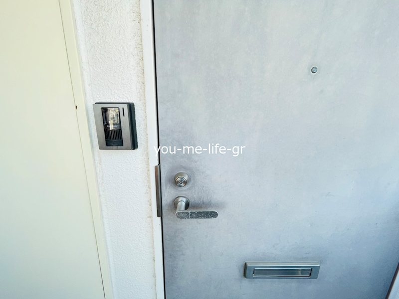 パストラルピア その他3