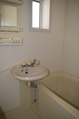 ダイヤビレッジ 風呂画像