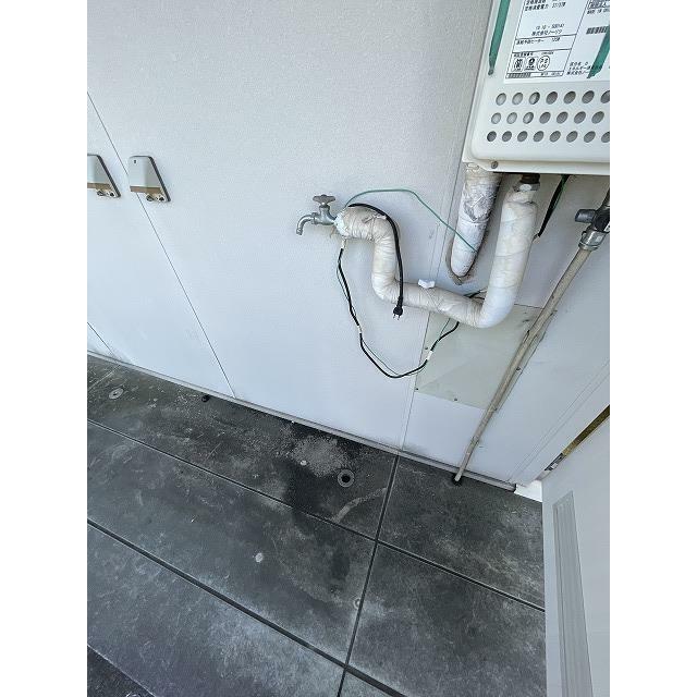 フェニックス その他7