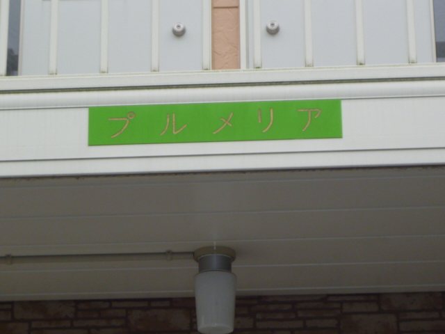 プルメリア その他外観4