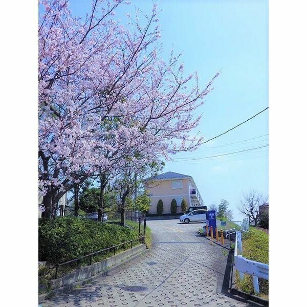 小雀レジデンス その他外観1