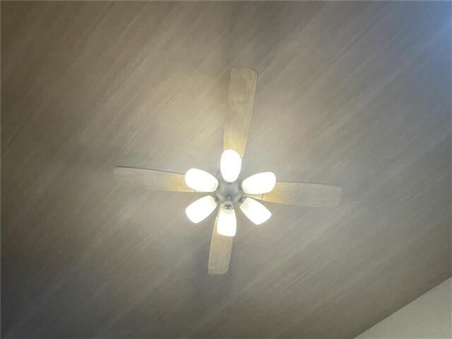 ビアンネートル その他6