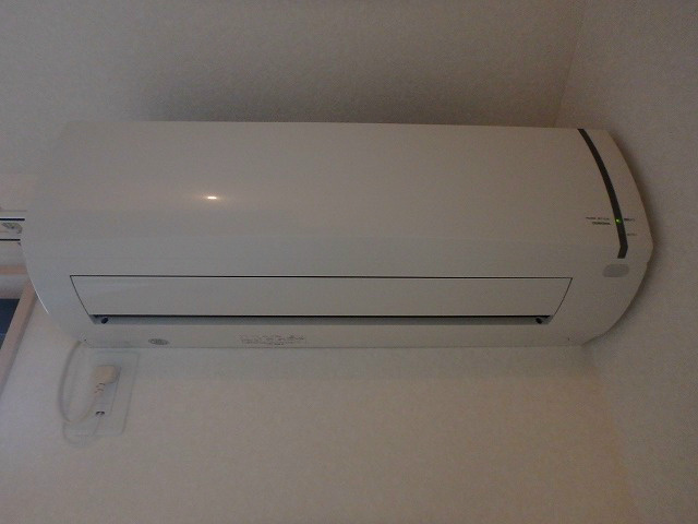 アネシス   その他5