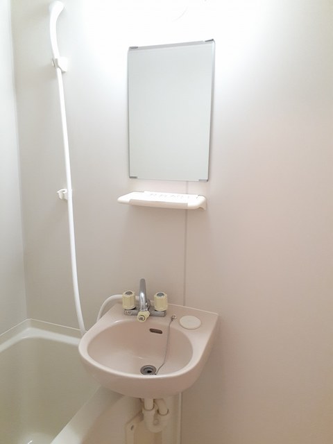 ミニヨンほたる その他3