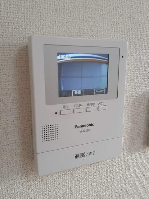 ミニヨンほたる その他6