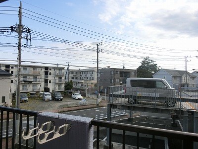 ハイドランジア その他1