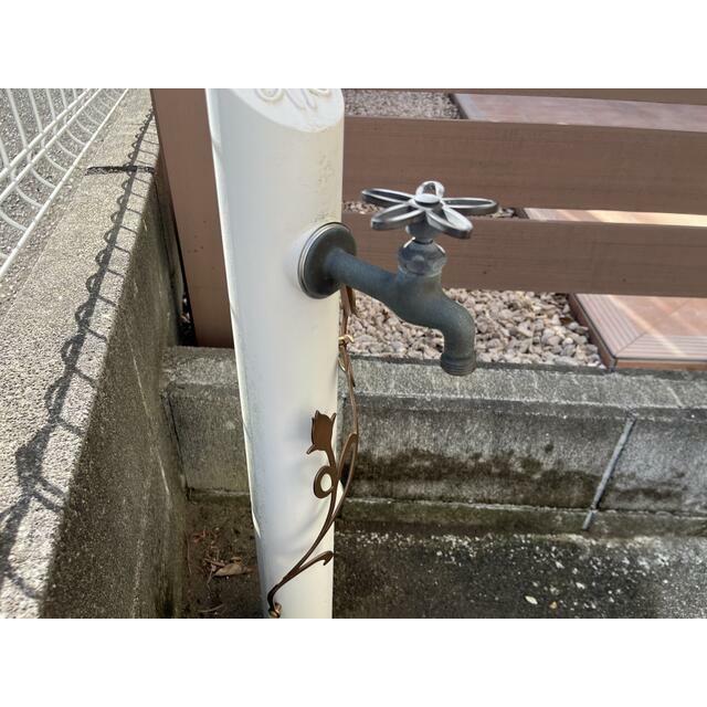 ダフネ湘南 その他10