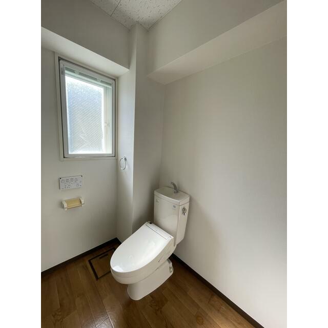 下の根グレイワンミニ その他3