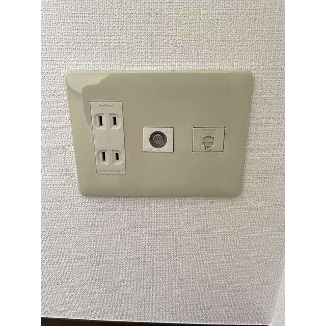 下の根グレイワンミニ その他7