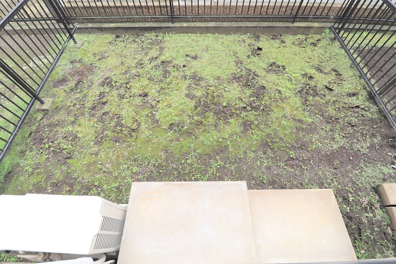 DUPLEX SUZUKI ⅡA その他4