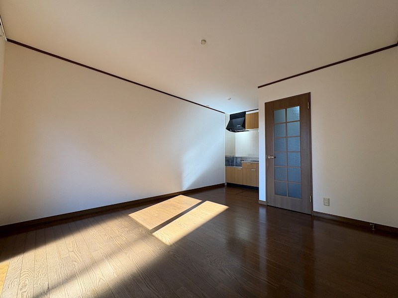 DUPLEX SUZUKI ⅡA その他12