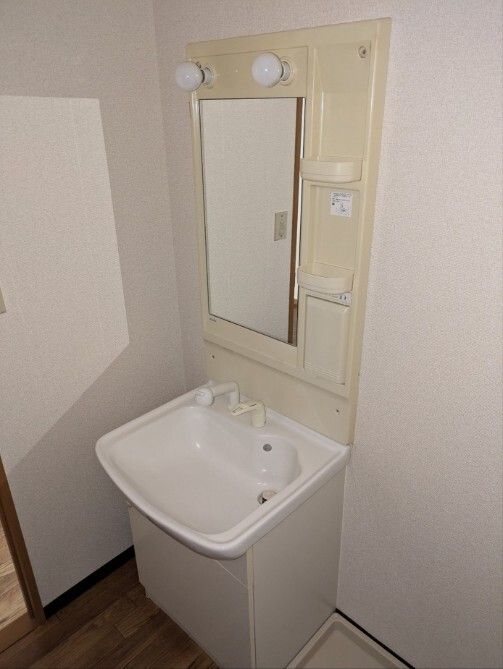カーサラフロレスタ 洗面所