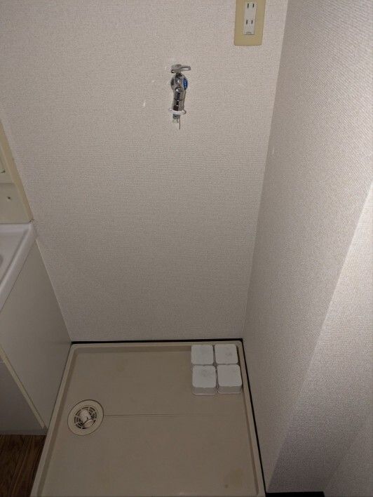カーサラフロレスタ その他