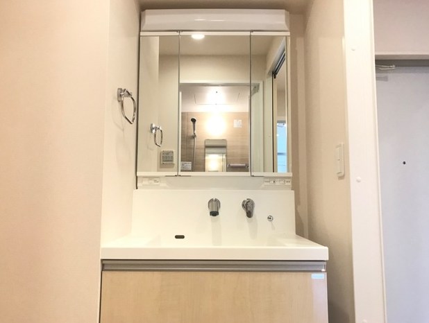 プルメリア その他2