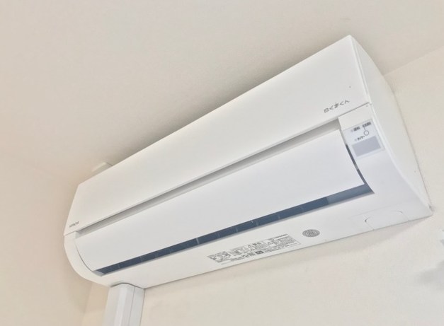 プルメリア その他3