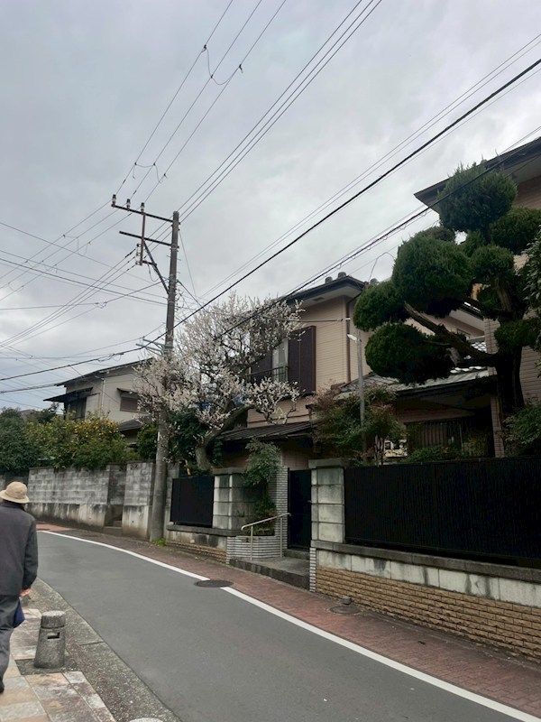 マンションせせらぎ その他11