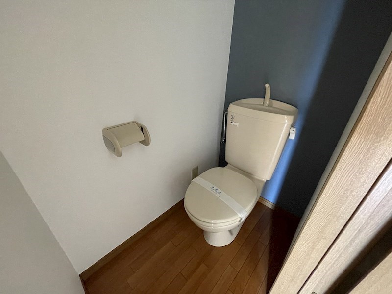 バブサイトNV その他1