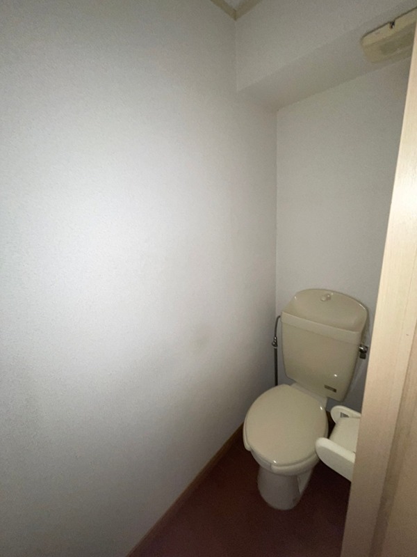 メイゾン・チュトワイエ白旗 その他4