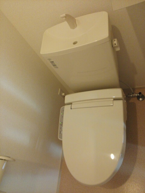 プラム・パルデ その他4