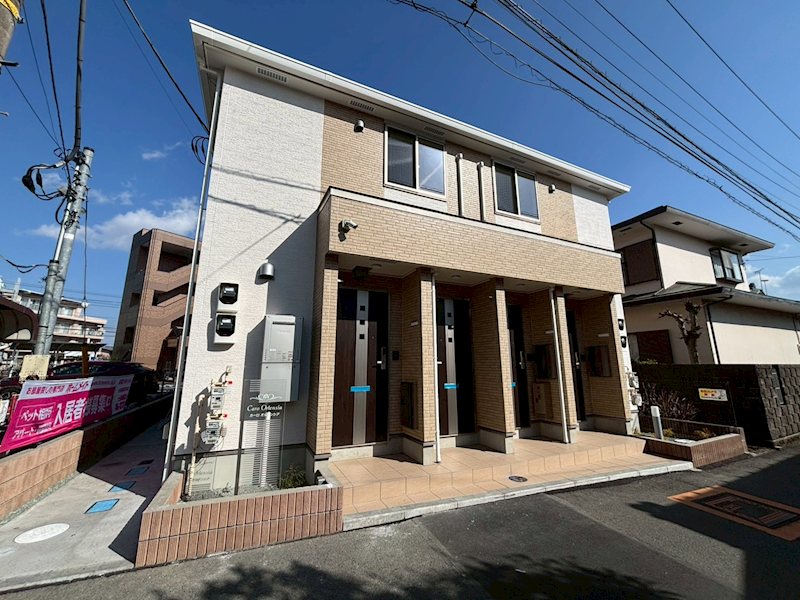 カーロ　オルテンシア　caroortensia 外観