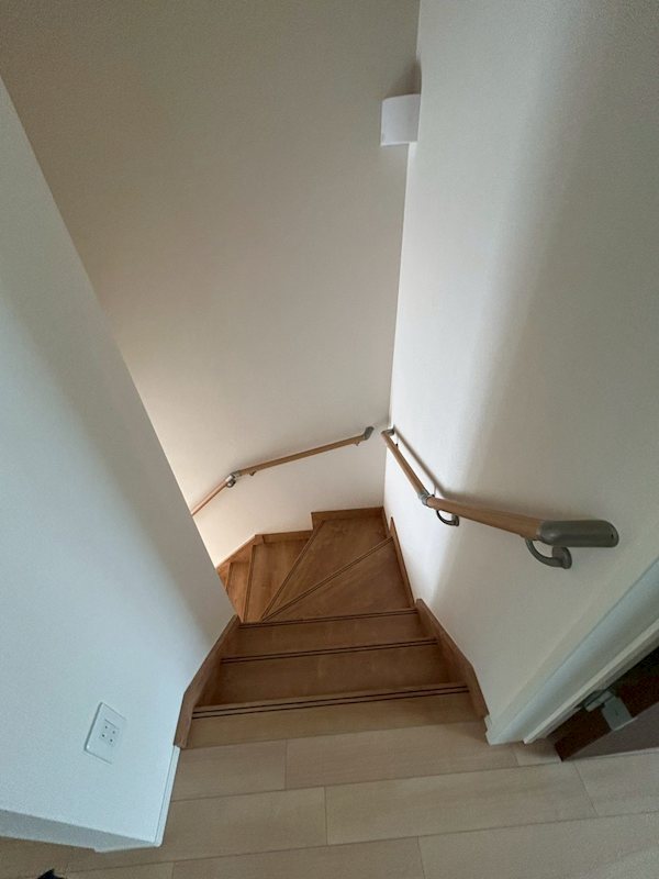 カーロ　オルテンシア　caroortensia その他7