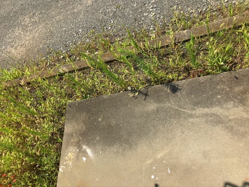 ブレーメンⅤ ベランダ