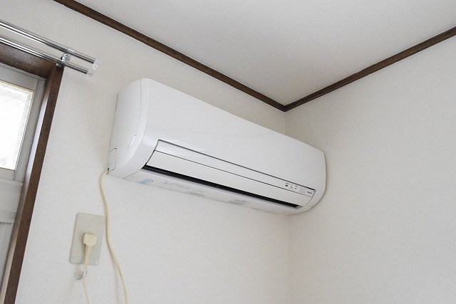 京ドルフ その他3