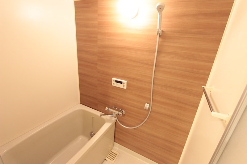 プラザ藤豊 風呂画像