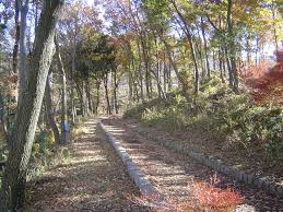 グランエトワールＢ 周辺画像3