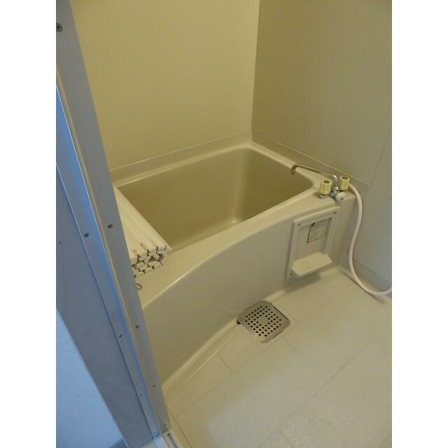 キャッスルⅡ 風呂画像