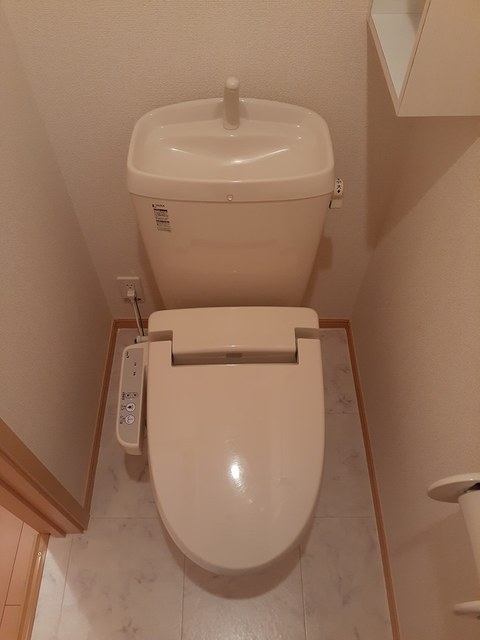 カトライア その他4