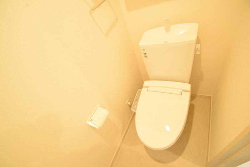 リブリ・アガイティーラ その他2