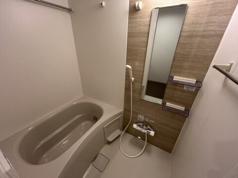 ジーメゾン伊勢原カエルム 風呂画像