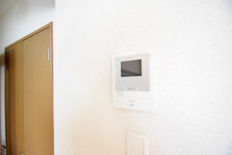 サン・パーシモン その他2