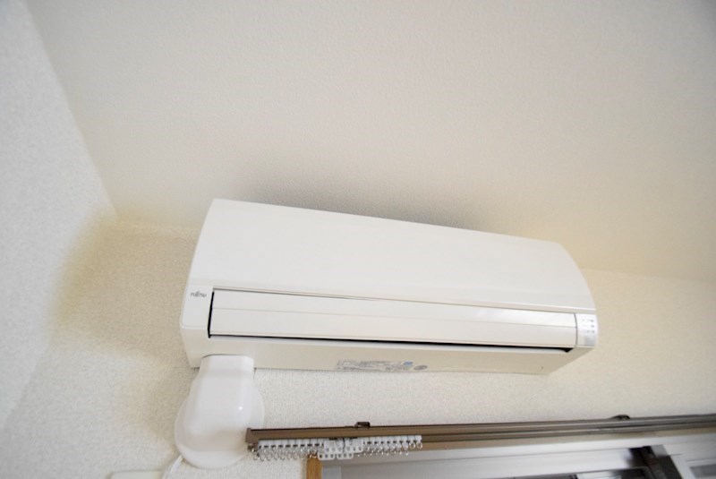 サン・パーシモン その他3