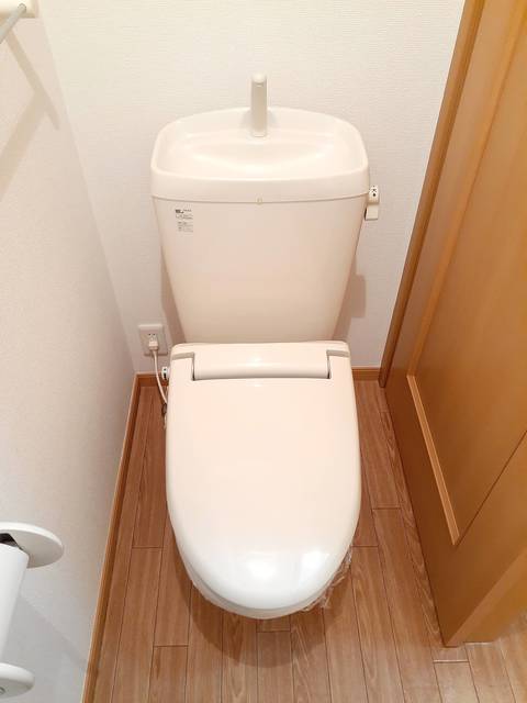 サンシャインゆずの木 その他5