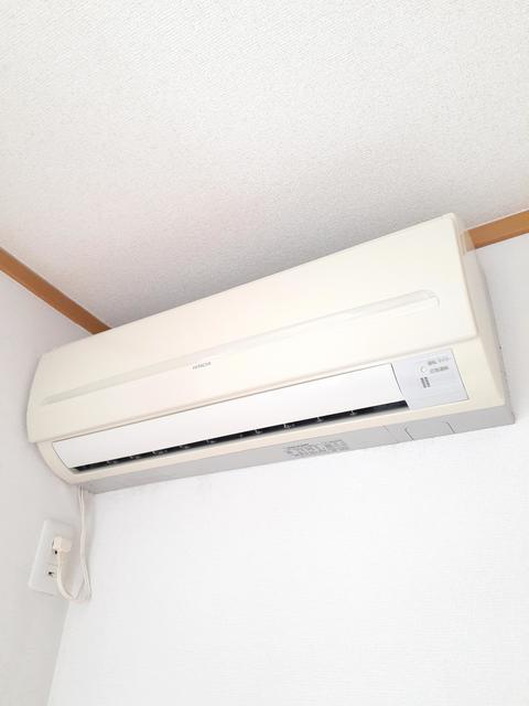 サンシャインゆずの木 その他6