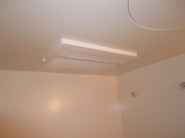 ブロードパインＡ その他6