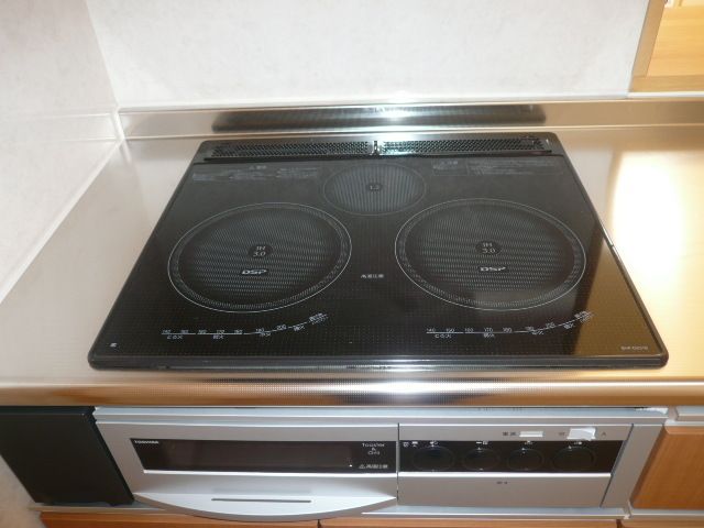 ブロードパインＡ その他8